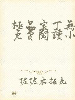 极品家丁无弹窗免费阅读小说封面