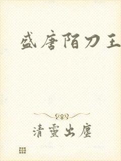 盛唐陌刀王封面