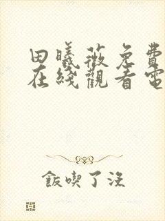 田曦薇免费造梦在线观看电视剧封面