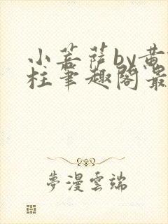 小菩萨by黄铁柱笔趣阁最新章节