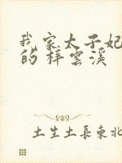 我家太子妃超凶的 梓云溪