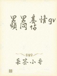男男基情gv视频网站