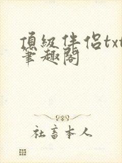 顶级伴侣txt笔趣阁