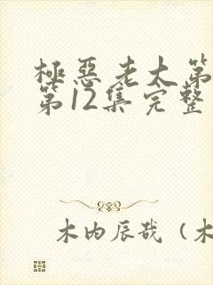 极恶老大第二季第12集完整版