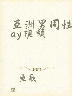 亚洲男同性恋gay视频