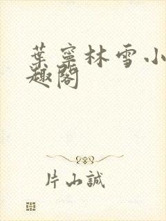 叶宁林雪小说笔趣阁