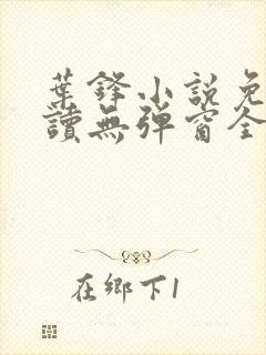 叶锋小说免费阅读无弹窗全文