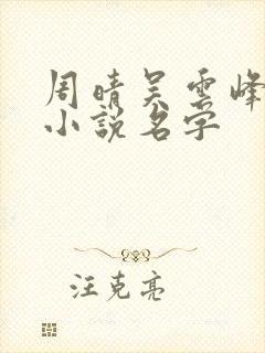 周晴吴云峰李磊小说名字