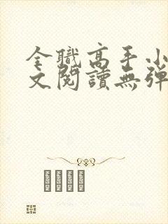 全职高手小说全文阅读无弹窗