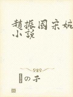 赵振国宋婉清的小说