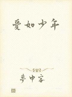 爱如少年
