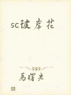 sc彼岸花