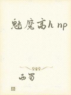 魅魔高h np