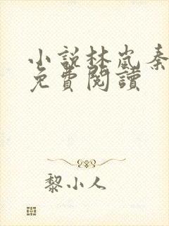 小说林岚秦小雅免费阅读