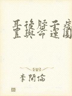 耳后脖子痣的位置与命运图