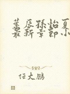 叶辰孙怡夏若雪最新章节小说