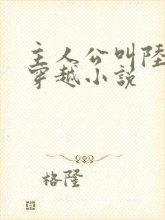 主人公叫陆叶的穿越小说封面