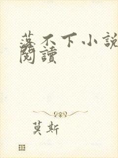 落不下小说免费阅读