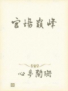 官场巅峰封面