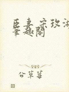 臣妻 宋玫湖 笔趣阁