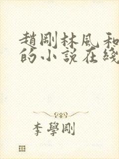 赵刚林风和苏柔的小说在线阅读