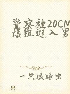 警察被20CM爆粗进入男男软件