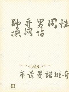 帅哥男同性恋互操网站