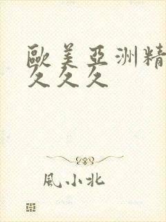 欧美亚洲精品久久久久