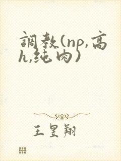 调教(np,高h,纯肉)