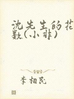 沈先生的花式调数(小非)封面