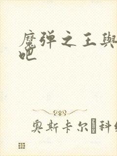 魔弹之王与战姬吧