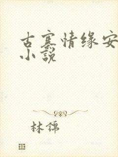 古寨情缘安家寨小说