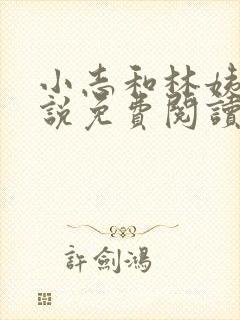 小志和林姨的小说免费阅读下载