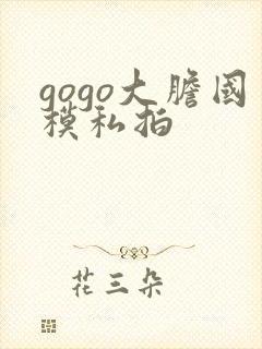 gogo大胆国模私拍封面