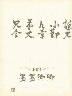 兄弟 h 小说全文章节免费阅读np