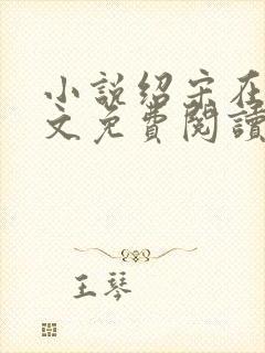 小说绍宋在线全文免费阅读封面