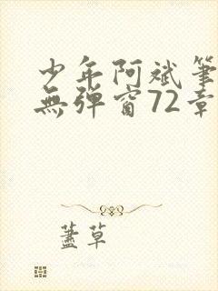 少年阿斌笔趣阁无弹窗72章