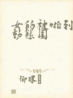 女的被啪到高潮动态图