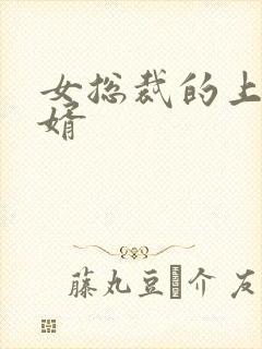 女总裁的上门女婿