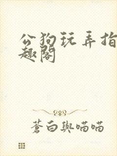 公狗玩弄指南笔趣阁