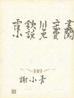 霍钦川宋书汀的小说免费阅读无弹窗封面