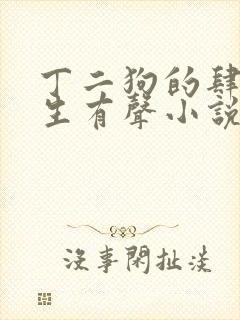 丁二狗的肆意人生有声小说免费