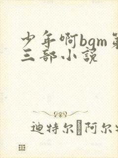 少年啊bgm第三部小说封面