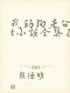 我的狗老公txt小说全集在线阅读