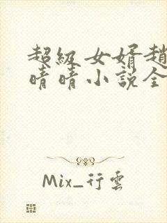 超级女婿赵旭李晴晴小说全文免费阅读无弹窗