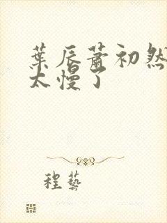 叶辰萧初然更新太慢了封面