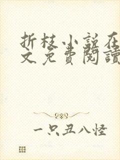 折枝小说在线全文免费阅读无弹窗