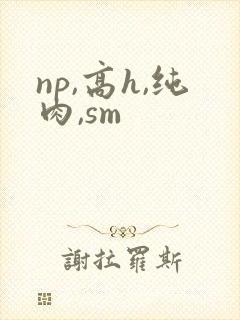np,高h,纯肉,sm