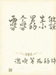 两个男生做酿酿酱酱的小说封面