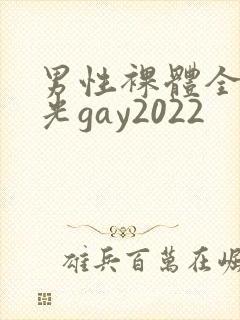 男性裸体全身精光gay2022